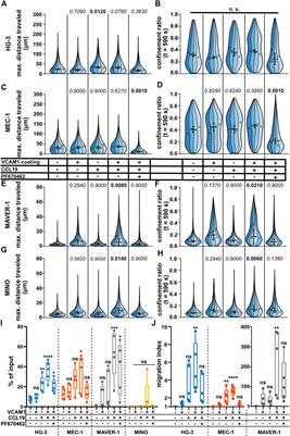 Role of casein kinase 1 in the amoeboid migration of B-cell leukemic and lymphoma cells: A quantitative live imaging in the confined environment